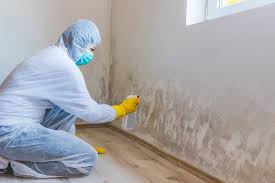 Why You Should Choose Our Mold Remediation Services in Henryville, IN